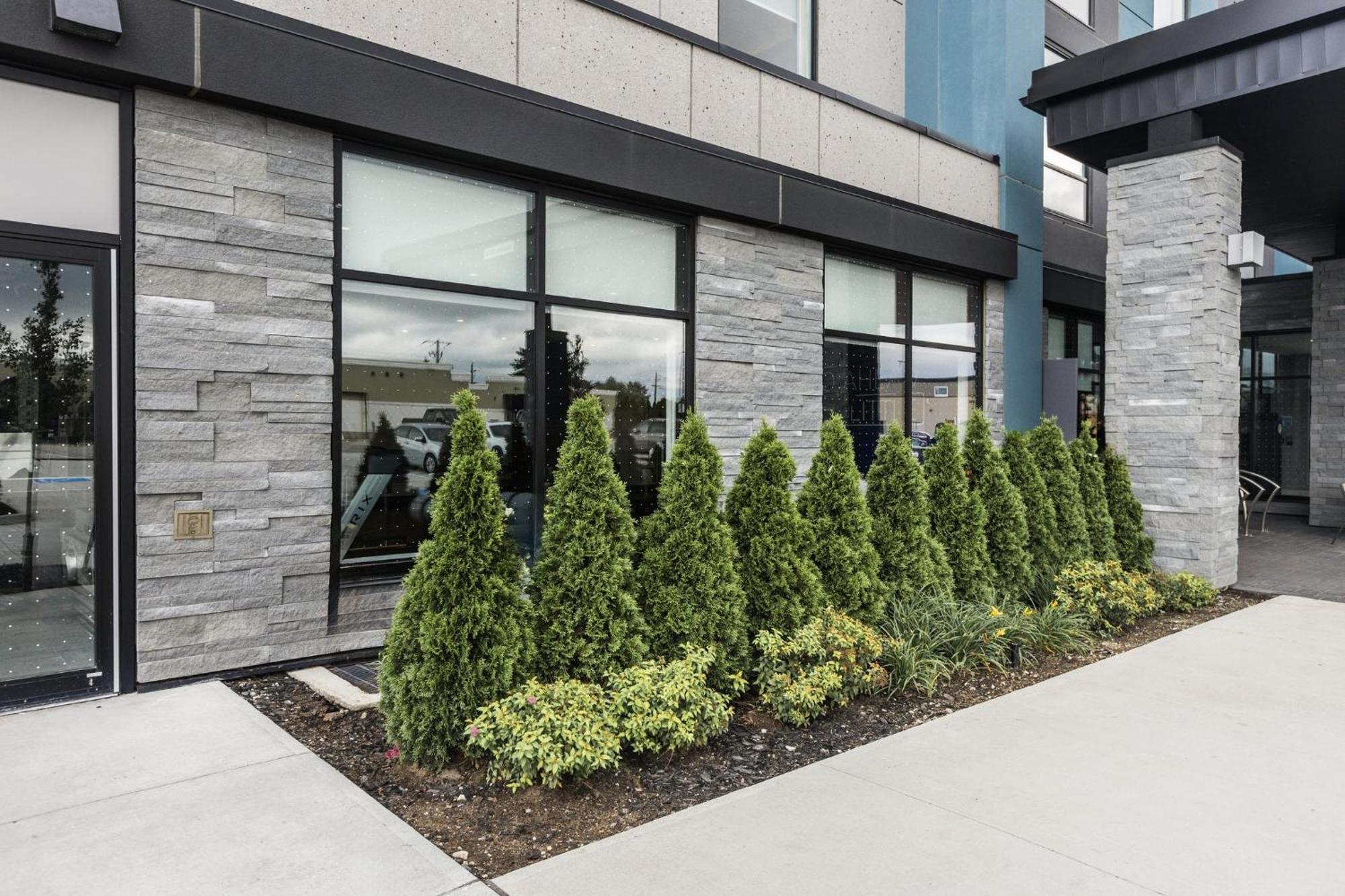 Holiday Inn Express & Suites - Toronto Airport South By Ihg Extérieur photo